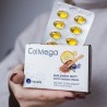 ColMega COLWAY