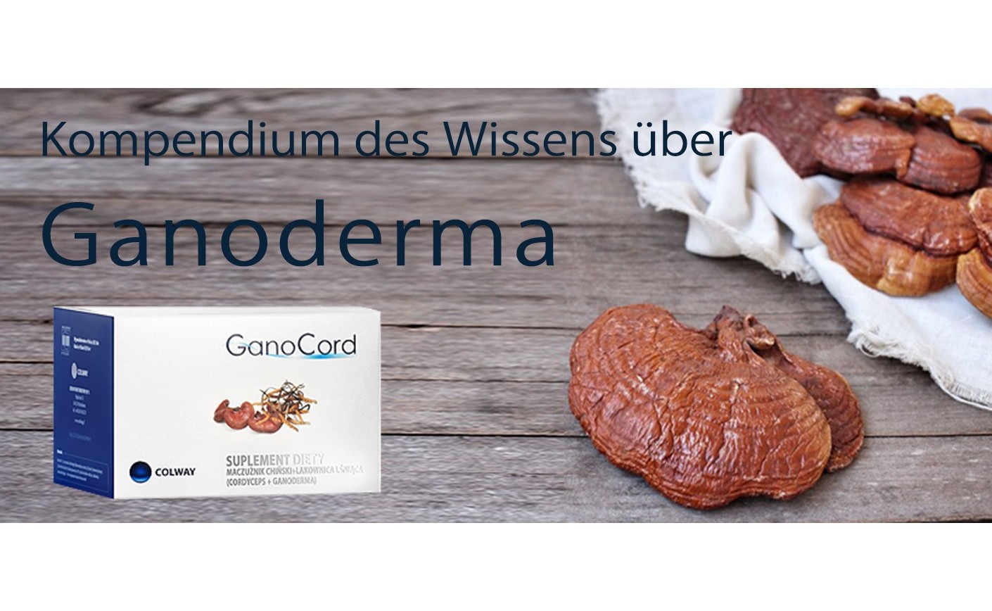 Wissenswertes über Ganoderma